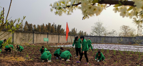 植樹添新綠 不負好時光——福川公司開展植樹節主題活動